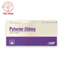 Pyfaclor 250mg Pymepharco - Thuốc điều trị nhiễm khuẩn