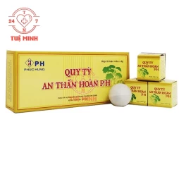 Quy tỳ an thần hoàn p/h (10 hoàn/hộp)