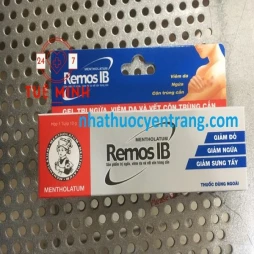 Remos ib