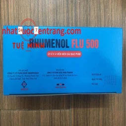 Rhumenol flu 500