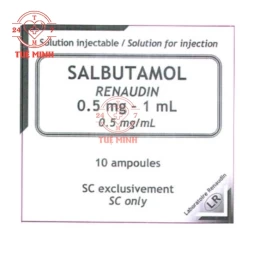 Salbutamol renaudin 0.5mg/ml