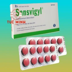 Sansvigyl