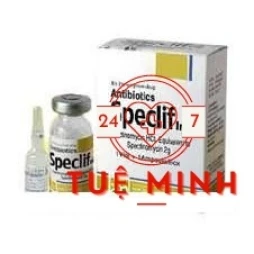 Speclif