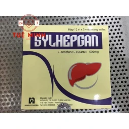 Sylhepgan