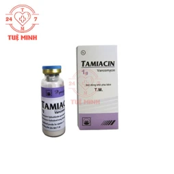 Tamiacin 1g Pymepharco - Thuốc tiêm điều trị nhiễm khuẩn hiệu quả 
