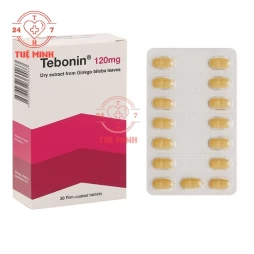 Tebonin 120mg