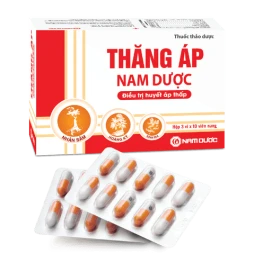 Thăng áp nam dược