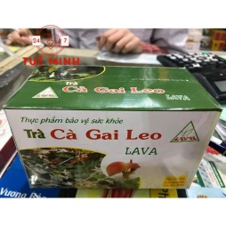 Trà cà gai leo lava