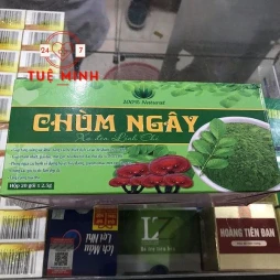 Trà chùm ngây xạ đen linh chi