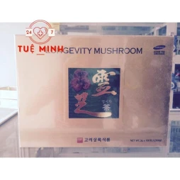 Trà linh chi hàn quốc - longevity mushroom