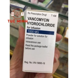 Vancomycin 1g