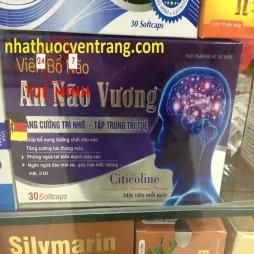 Viên bổ não an não vương