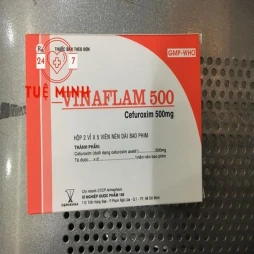 Vinaflam 500mg