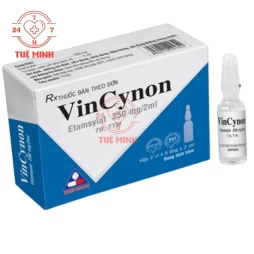 Vincynon 250mg/2ml