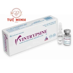 Vintrypsine tiêm