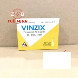 Vinzix 20mg/2ml (10 ống)