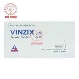 Vinzix 20mg/2ml (50 ống)