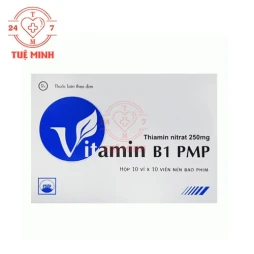 Vitamin B1 PMP 250mg - Thuốc điều trị các bệnh do thiếu Vitamin B1