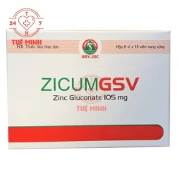 Zicum gsv