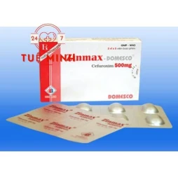 Zinmax 500mg - domesco
